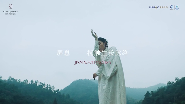 长沙｜金茂璞印梅溪 生活概念TVC